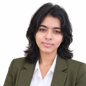 Indian software developer and technology professional